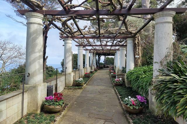 Фото автора Капри виллы